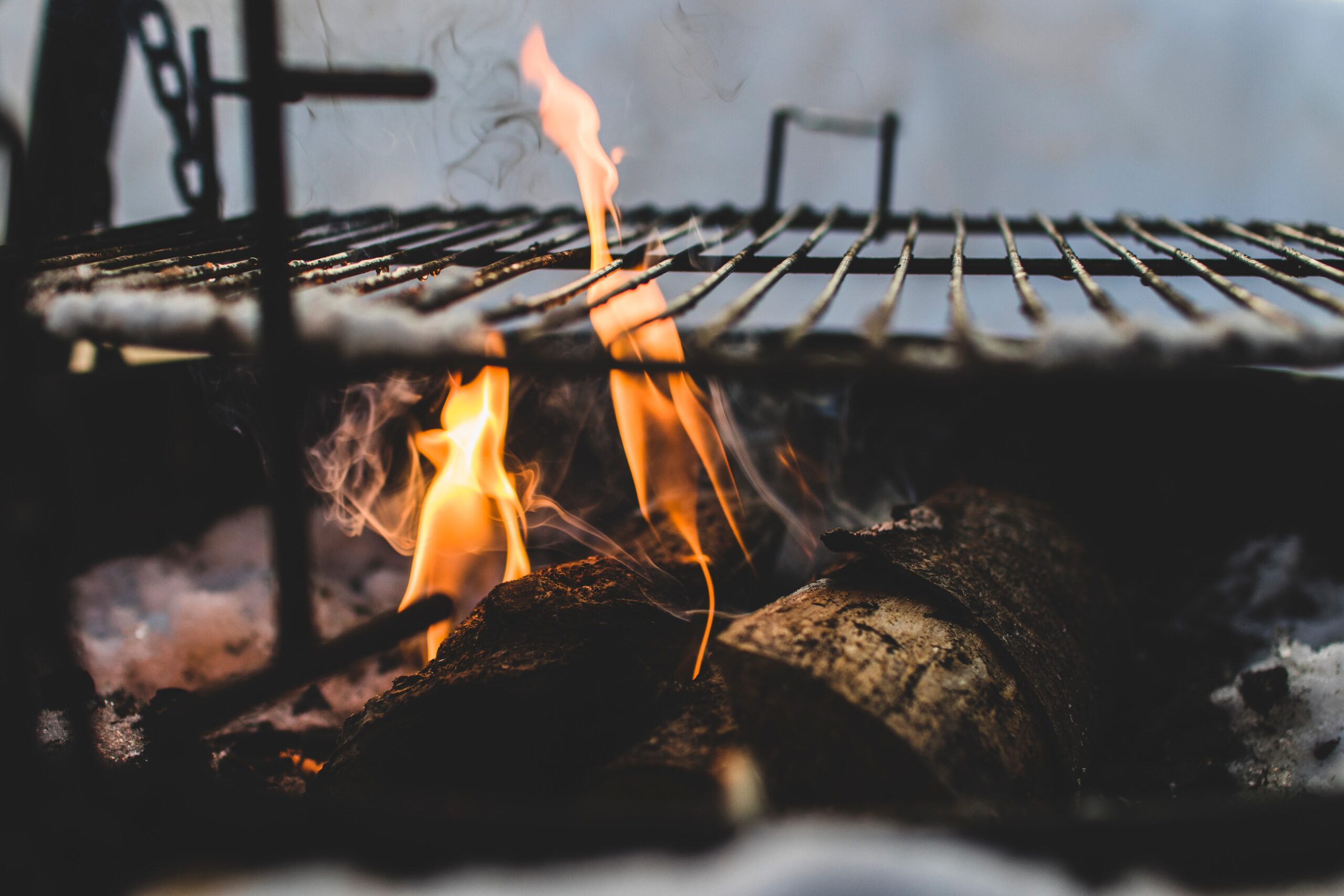 Grill Cleaning 101: The Ultimate Guide to Keeping Your Propane and Charcoal Grill in Top Shape