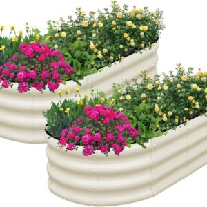SnugNiture Galvanized Raised Garden Bed Outdoor, 2 Pcs 4x2x1ft